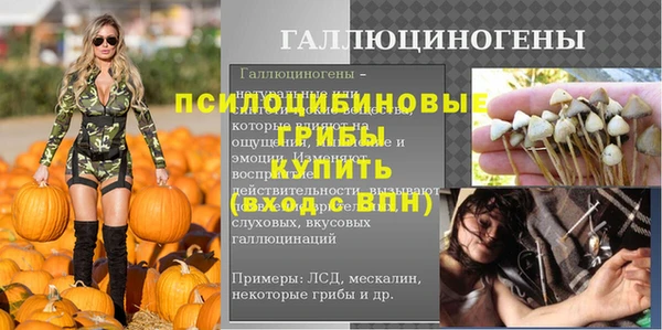 стаф Слюдянка