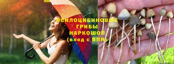 стаф Слюдянка